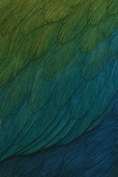 Option 2 copy Takahē Bird feathers in blue and green
